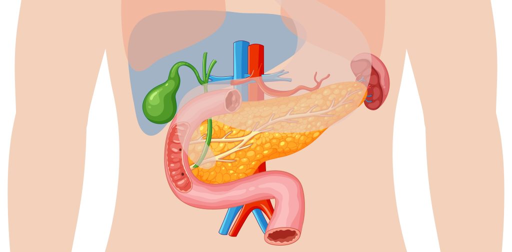 Ozempic gallbladder problems